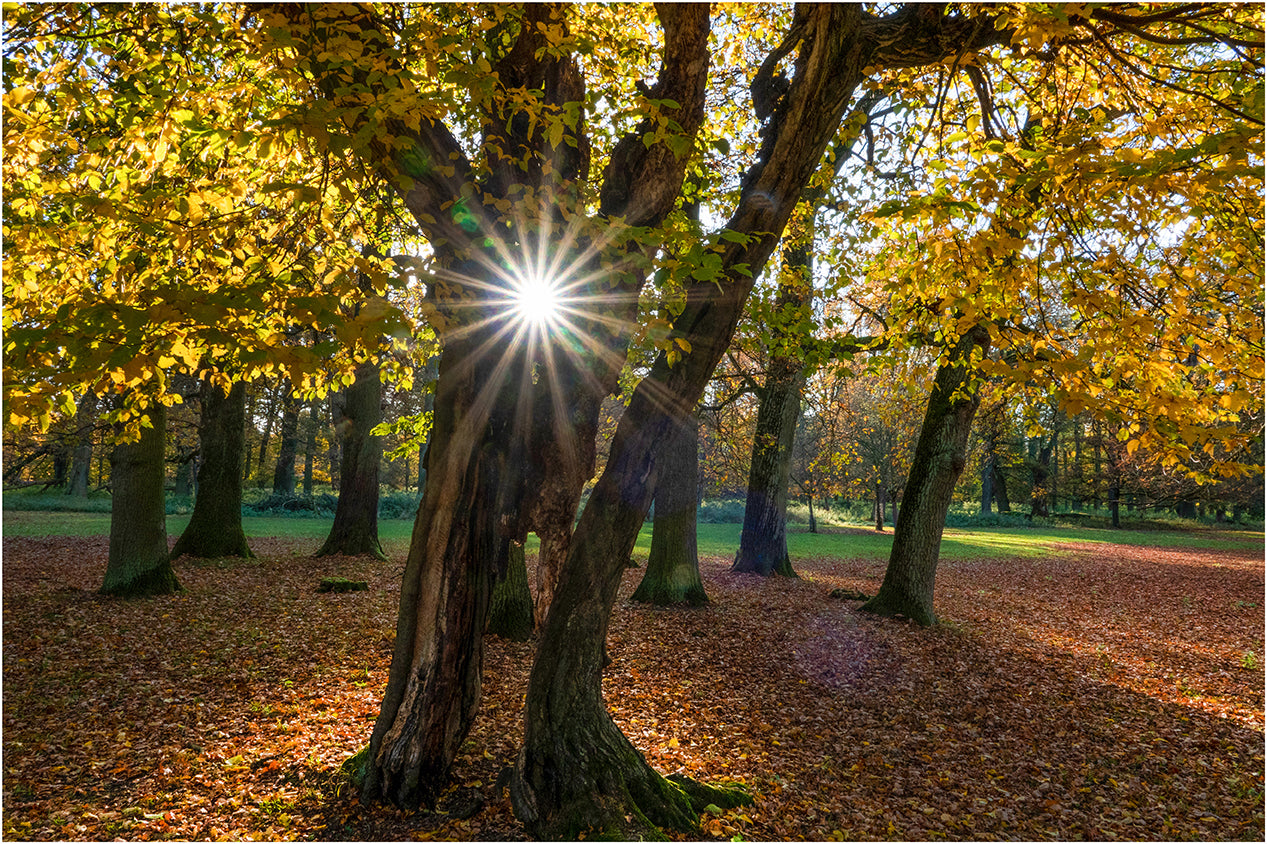 Herbststimmung