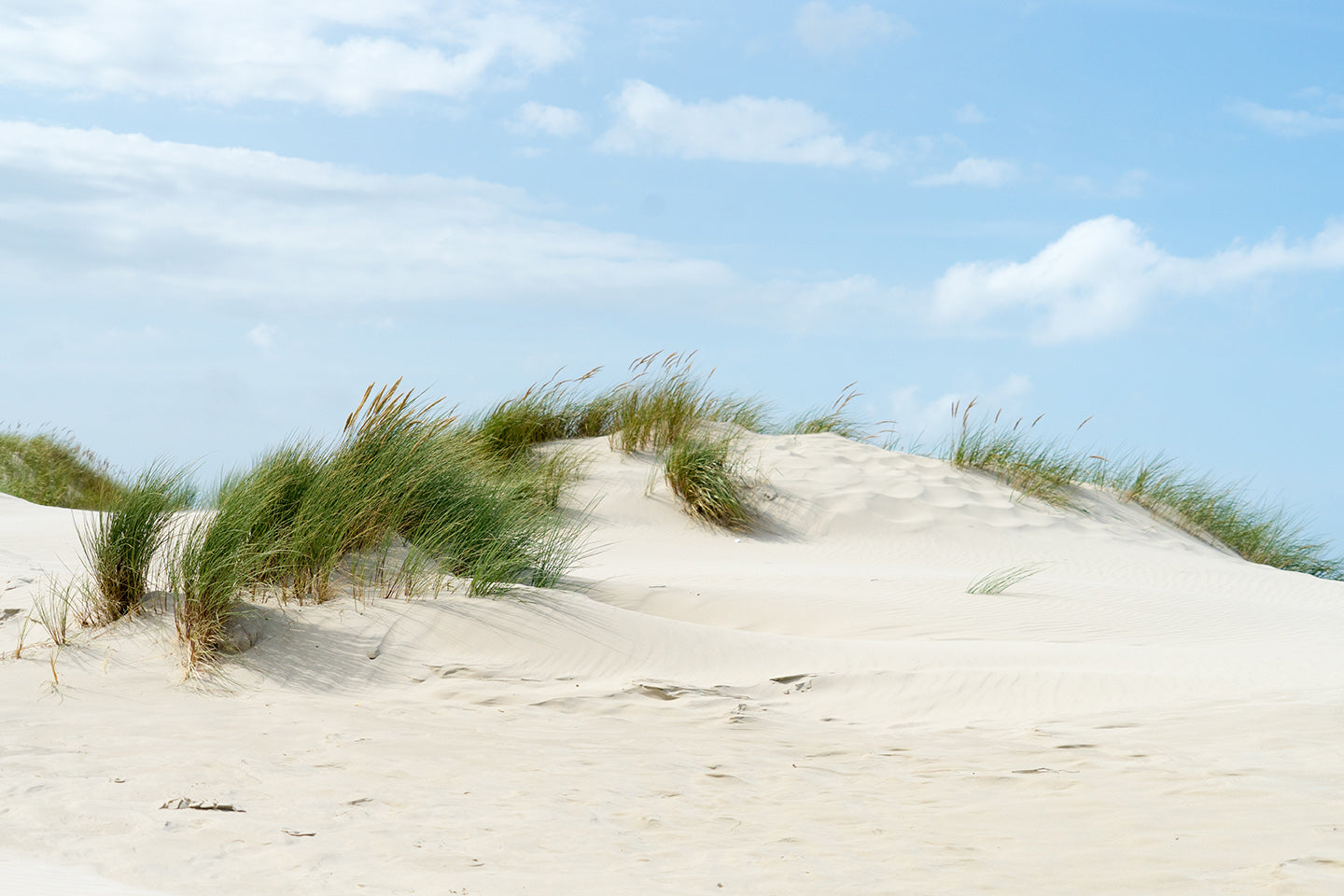 Küste und Strand6
