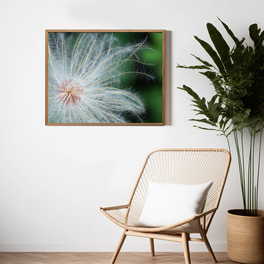 Blumen15