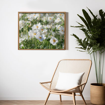 Blumen12