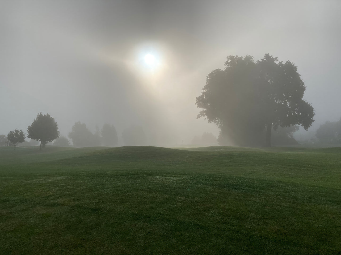 Golf #1