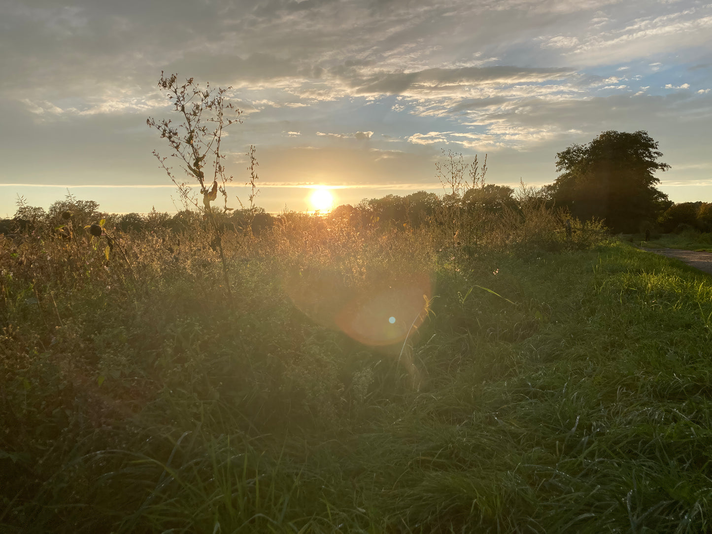 Sonnenuntergang im Sommer